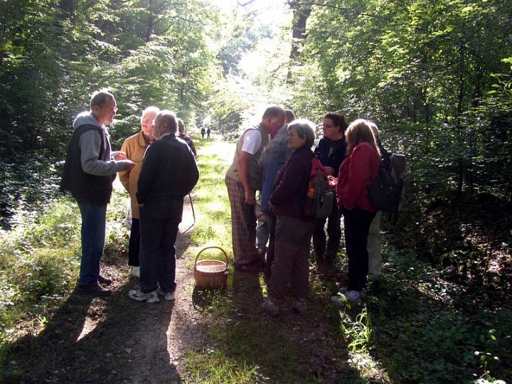 2011 07  Myco bois des Plainvaux 21